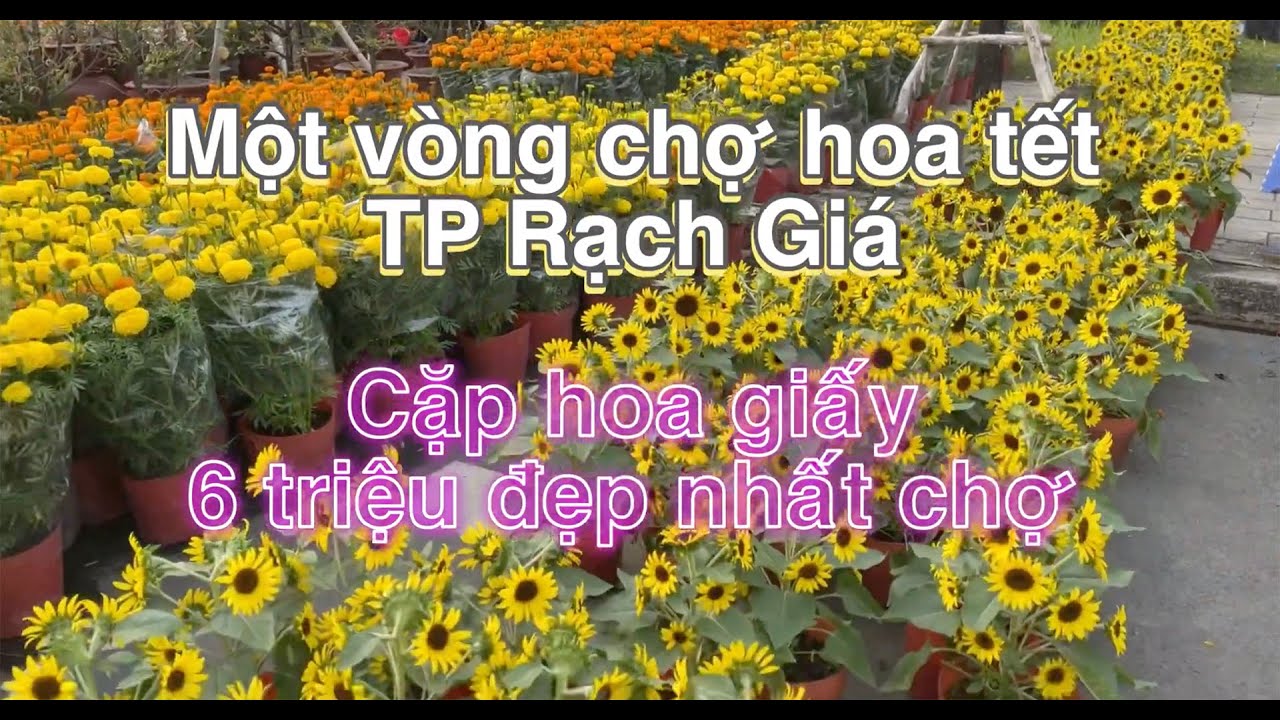 exploring the 2022 lunar new year flower market in rach gia