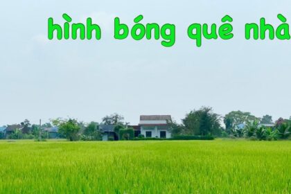 the beloved image of home