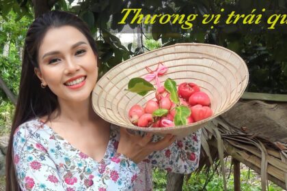 country fruits and gentle childhood memories