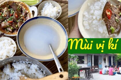 the flavors of memory in the mekong delta
