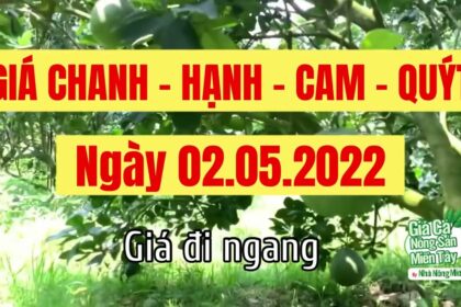 lime, calamansi, orange and mandarin price May 2, 2022