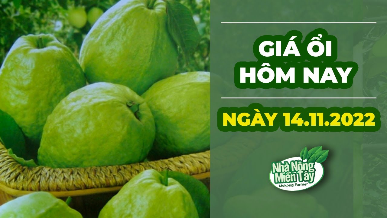market prices and guava price November 14, 2022