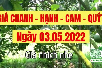 lime, calamansi, orange and mandarin price May 3, 2022