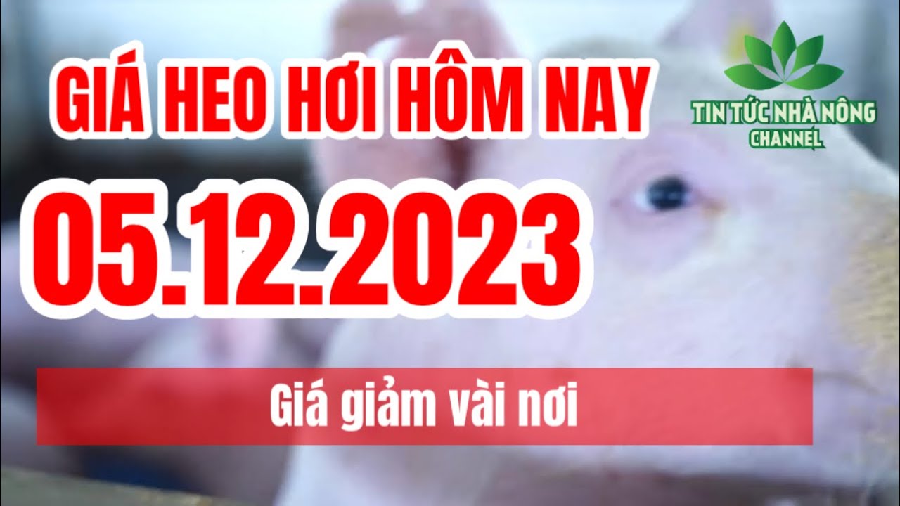 Vietnam live hog prices December 5, 2023
