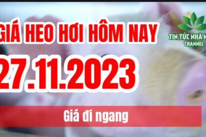 Vietnam live hog prices November 27, 2023