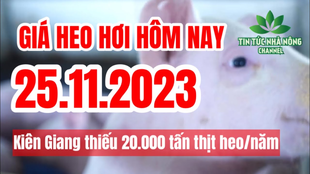 Vietnam live hog prices November 25, 2023