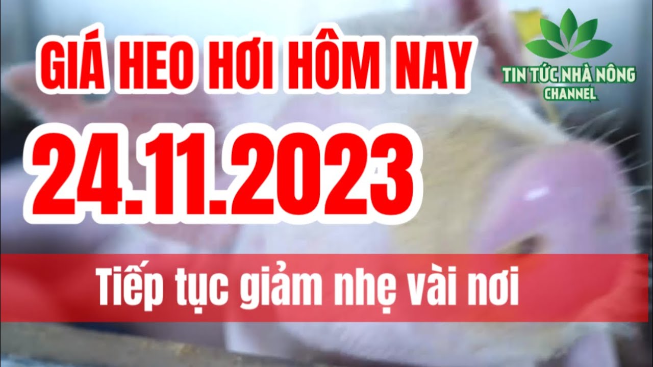 Vietnam live hog prices November 24, 2023