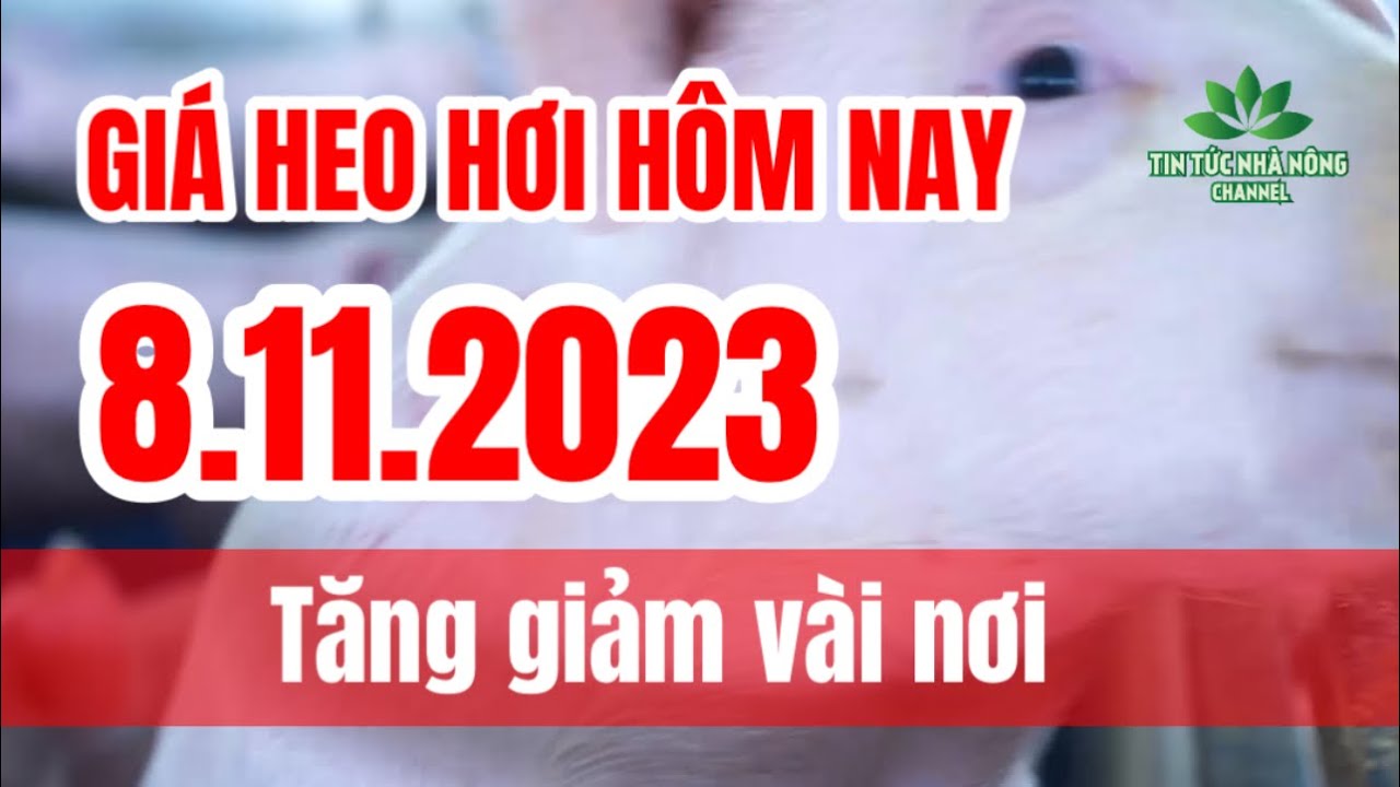 Vietnam live hog prices November 8, 2023