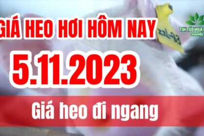 Vietnam live hog prices November 5, 2023