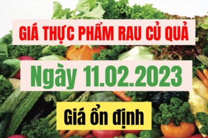 vegetables, fruits and food price February 11, 2023
