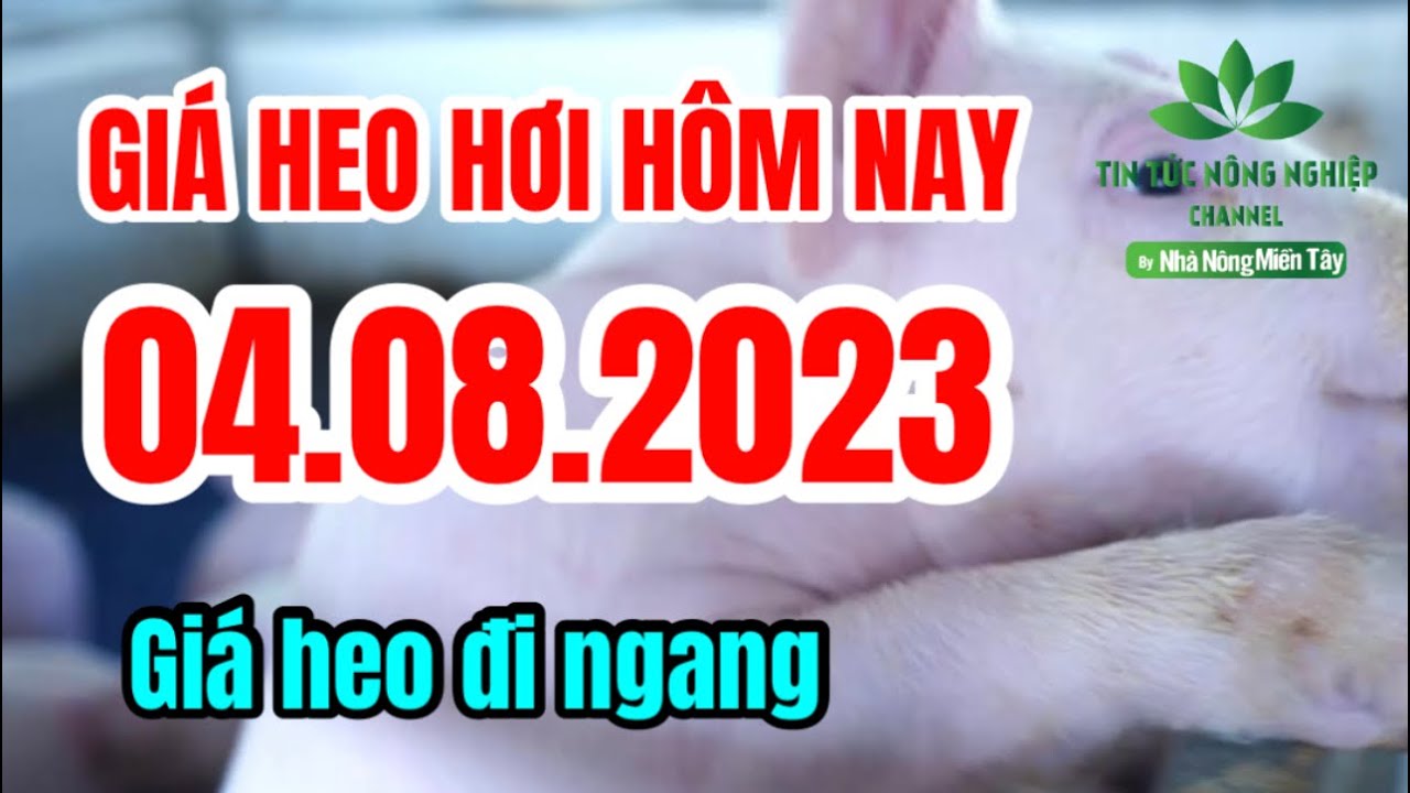 Vietnam live hog prices August 4, 2023