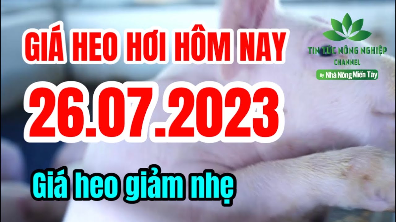 Vietnam live hog prices July 26, 2023