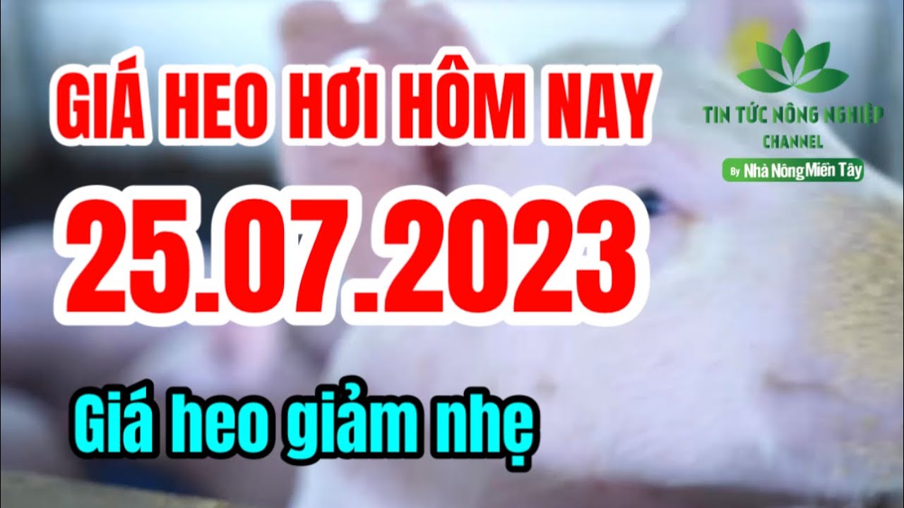 Vietnam live hog prices July 25, 2023