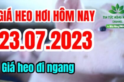 Vietnam live hog prices July 23, 2023