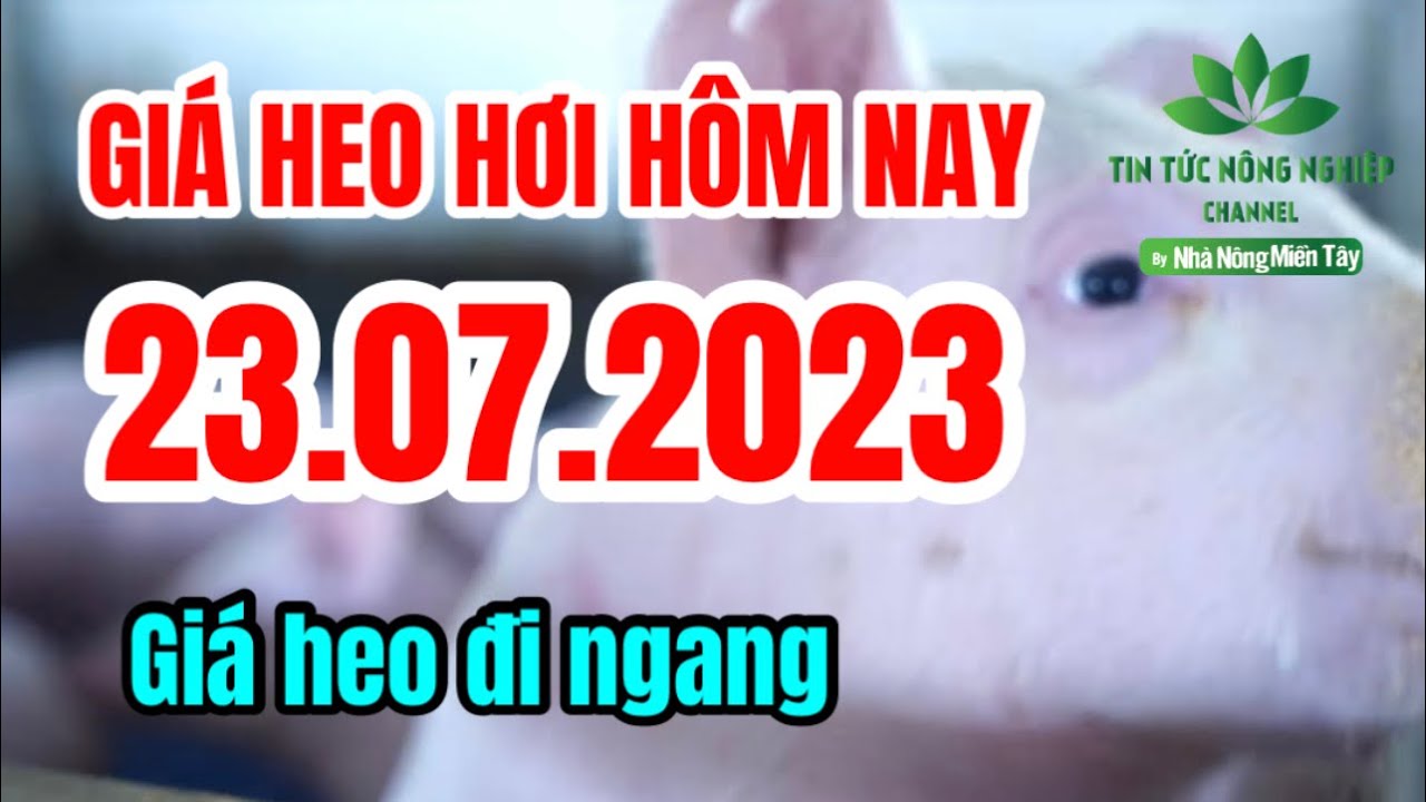 Vietnam live hog prices July 23, 2023
