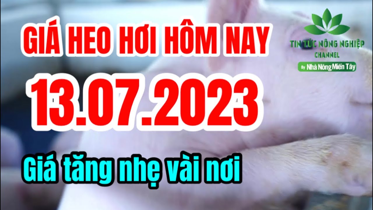 Vietnam live hog prices July 13, 2023