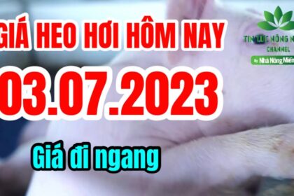 Vietnam live hog prices July 3, 2023