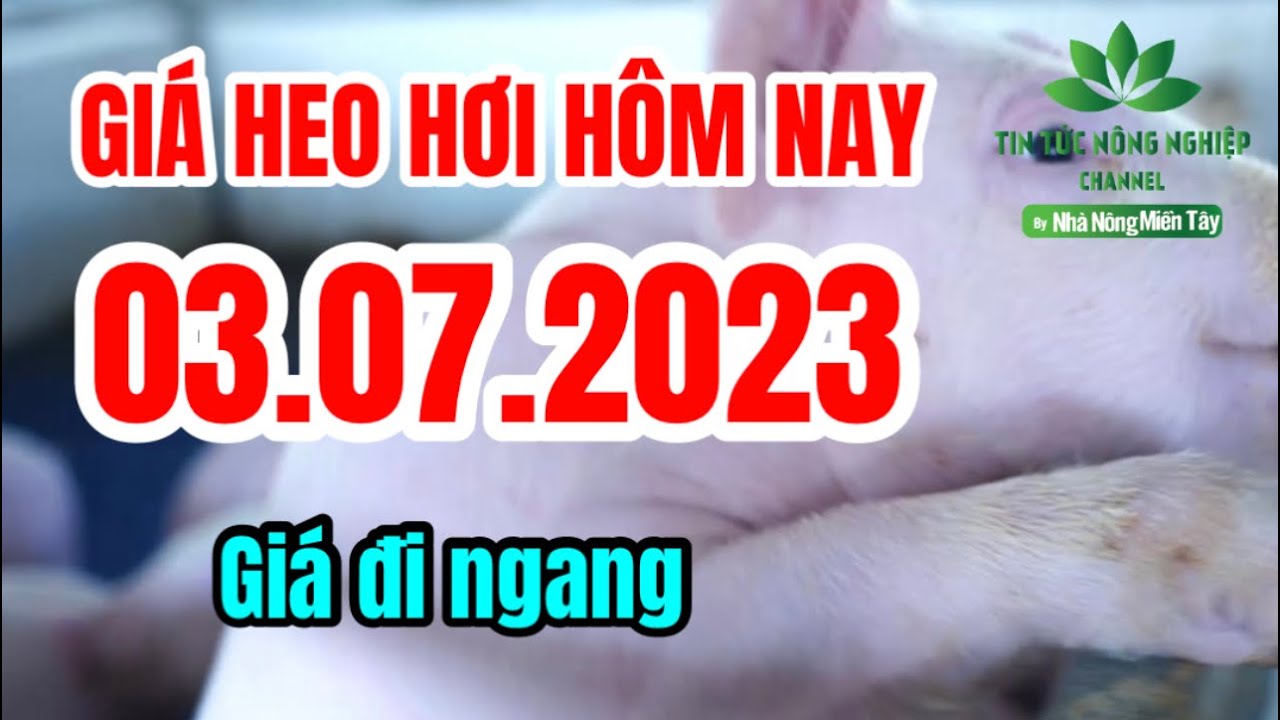 Vietnam live hog prices July 3, 2023