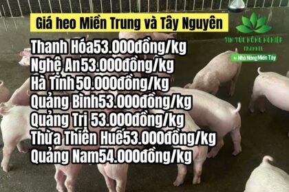 Vietnam live hog prices April 30, 2023