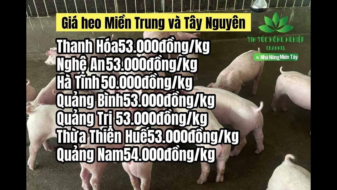 Vietnam live hog prices April 30, 2023