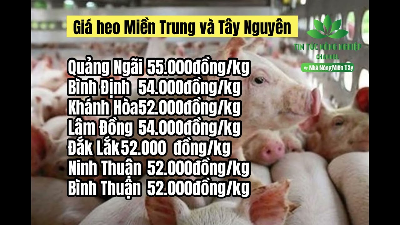 Vietnam live hog prices April 29, 2023