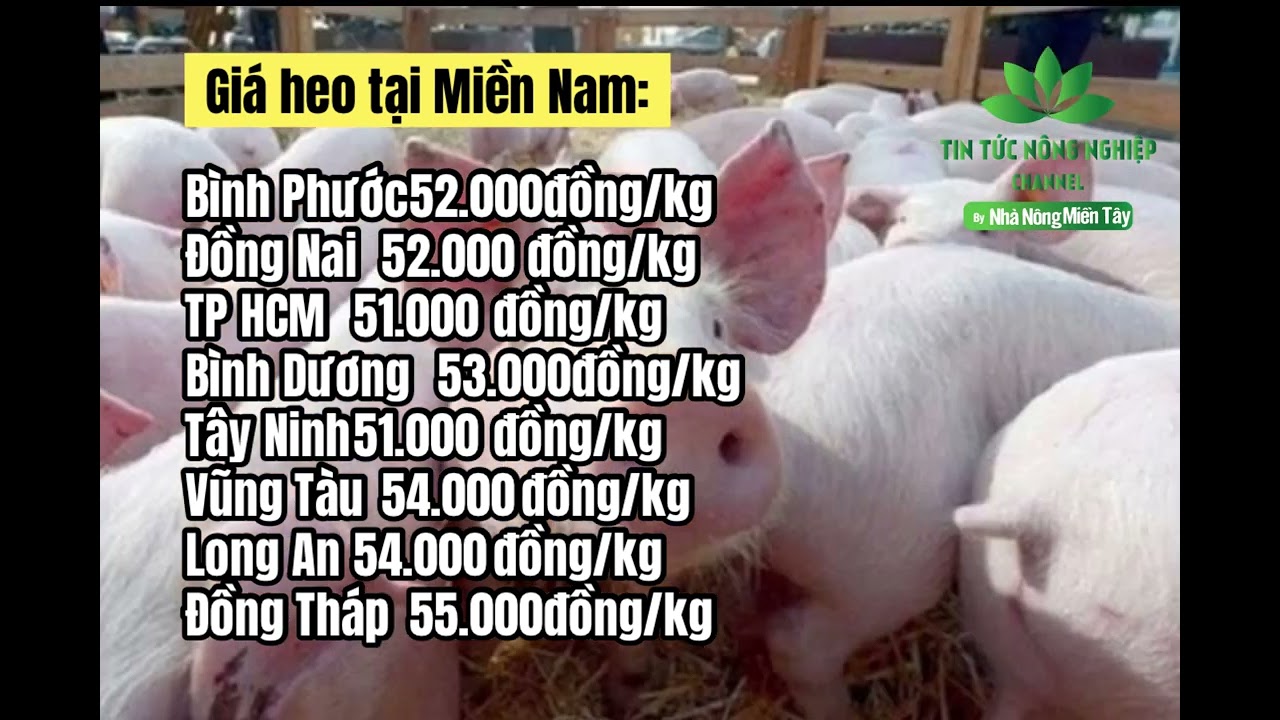 Vietnam live hog prices April 22, 2023