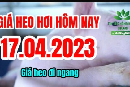 Vietnam live hog prices April 17, 2023