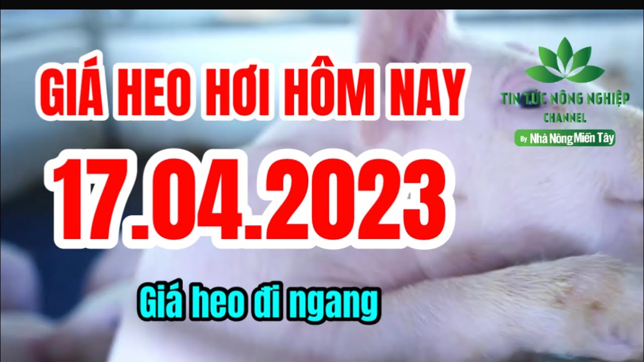 Vietnam live hog prices April 17, 2023