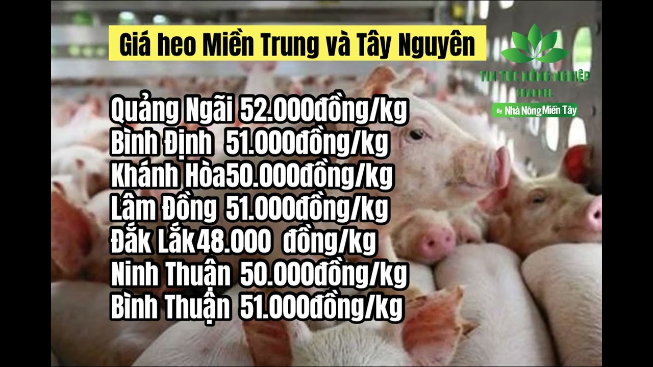 Vietnam live hog prices April 15, 2023