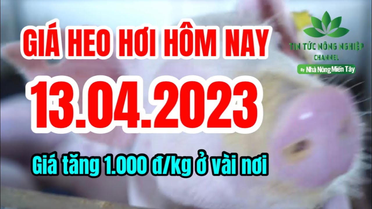 Vietnam live hog prices April 13, 2023