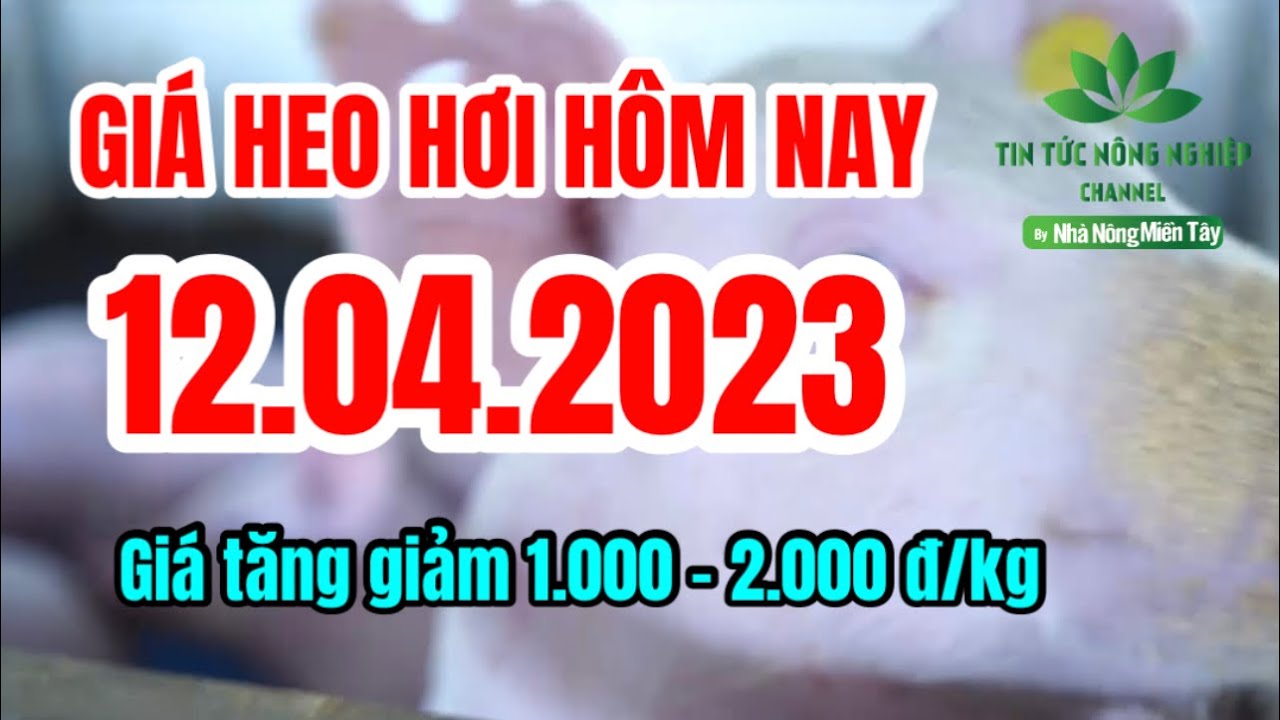Vietnam live hog prices April 12, 2023