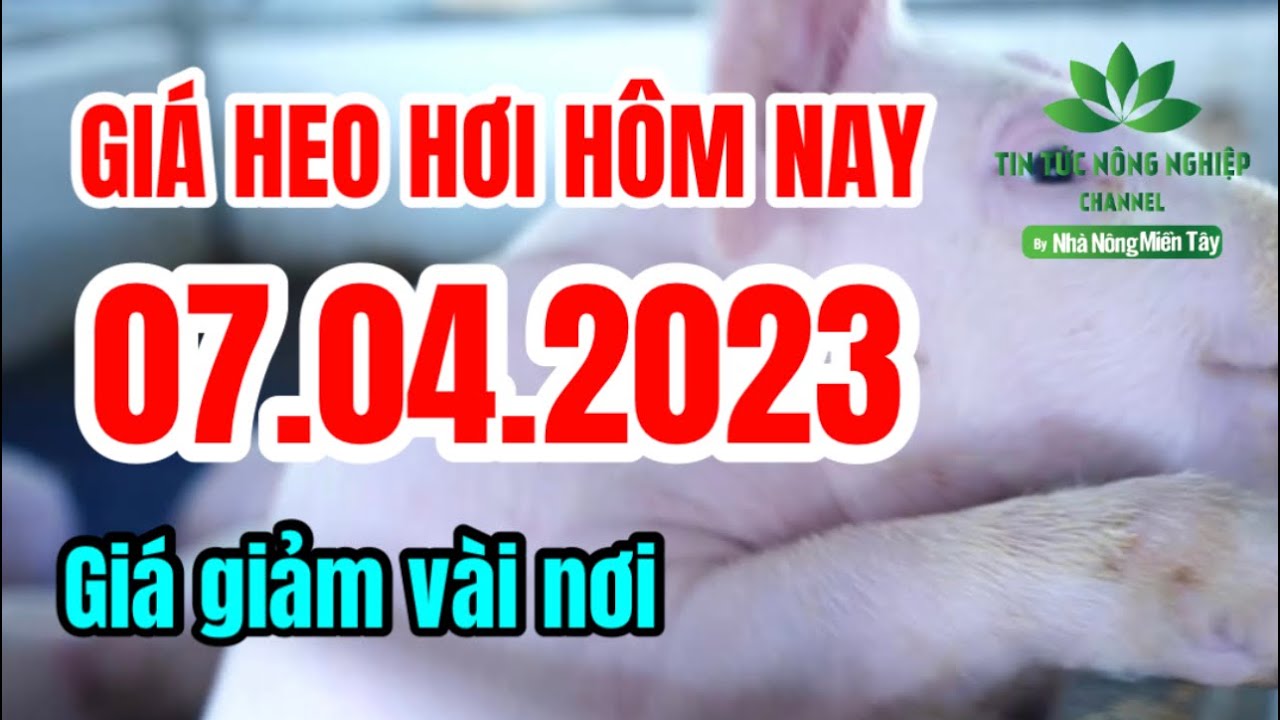 Vietnam live hog prices April 7, 2023