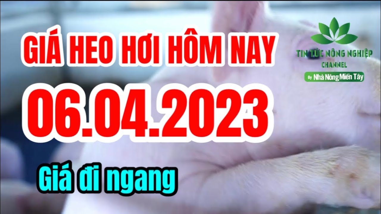 Vietnam live hog prices April 6, 2023