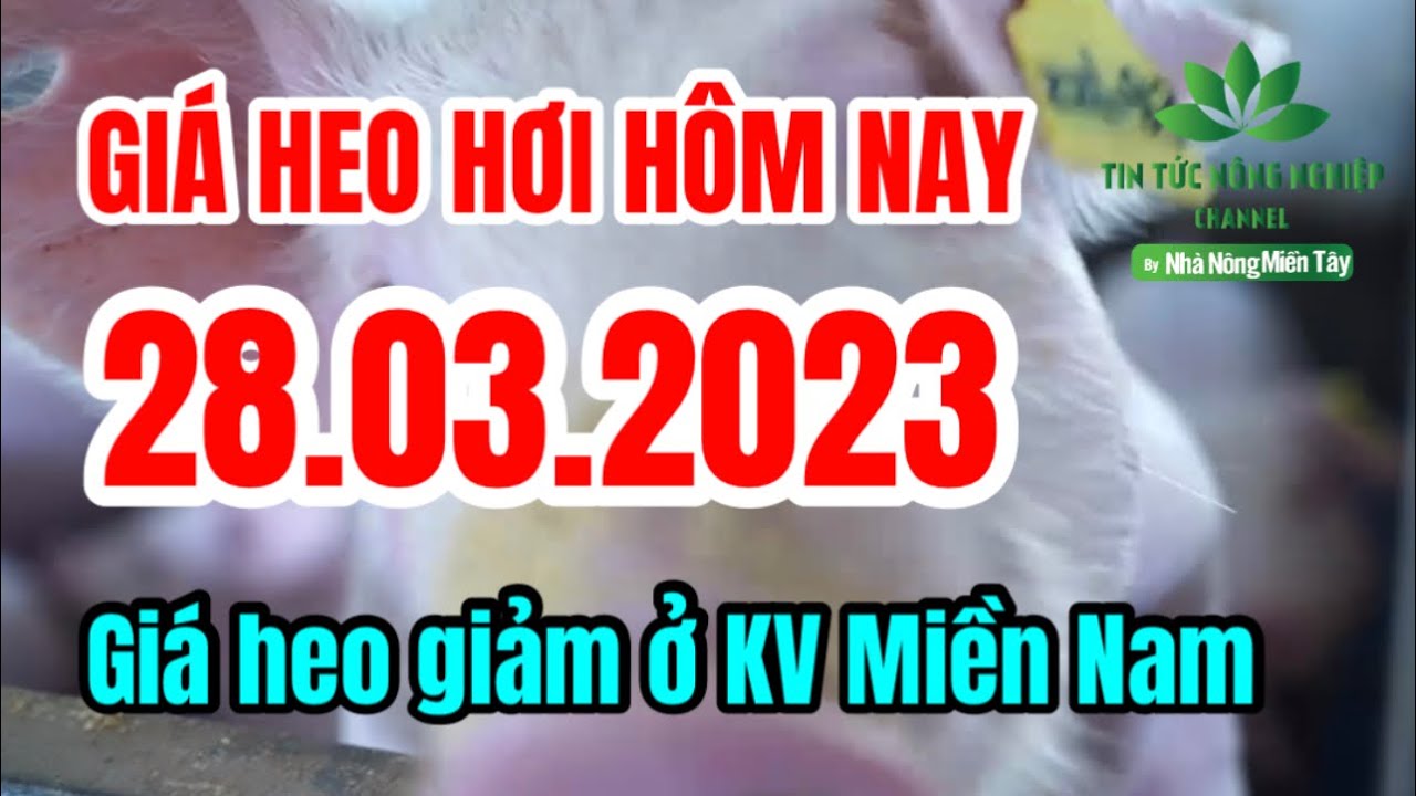 Vietnam live hog prices March 28, 2023