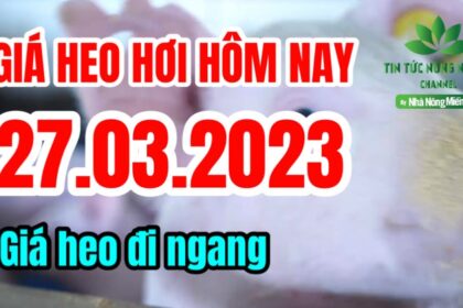 Vietnam live hog prices March 27, 2023