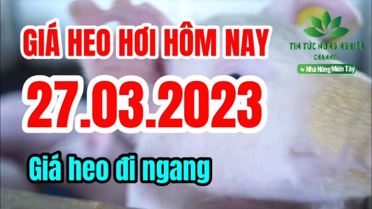Vietnam live hog prices March 27, 2023