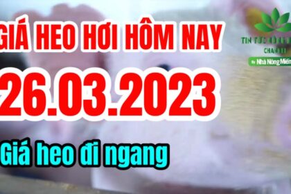 Vietnam live hog prices March 26, 2023