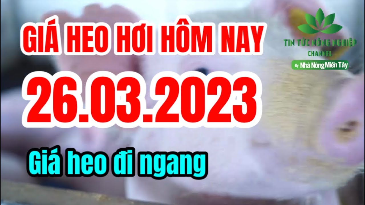 Vietnam live hog prices March 26, 2023
