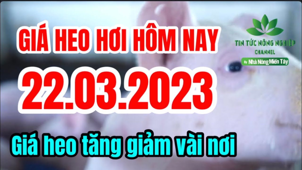 Vietnam live hog prices March 22, 2023