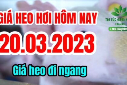 Vietnam live hog prices March 20, 2023