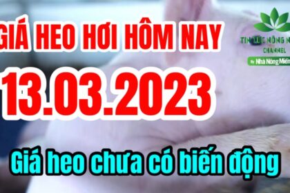 Vietnam live hog prices March 13, 2023