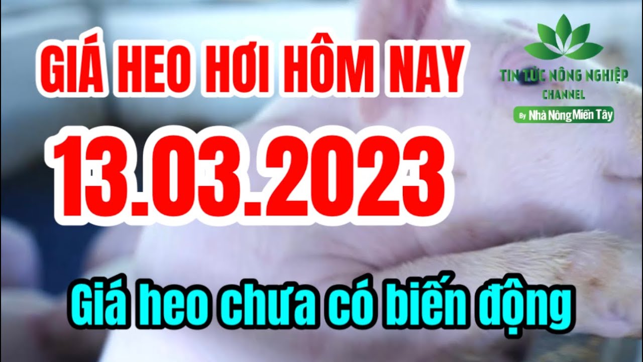 Vietnam live hog prices March 13, 2023
