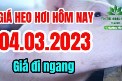 Vietnam live hog prices March 4, 2023