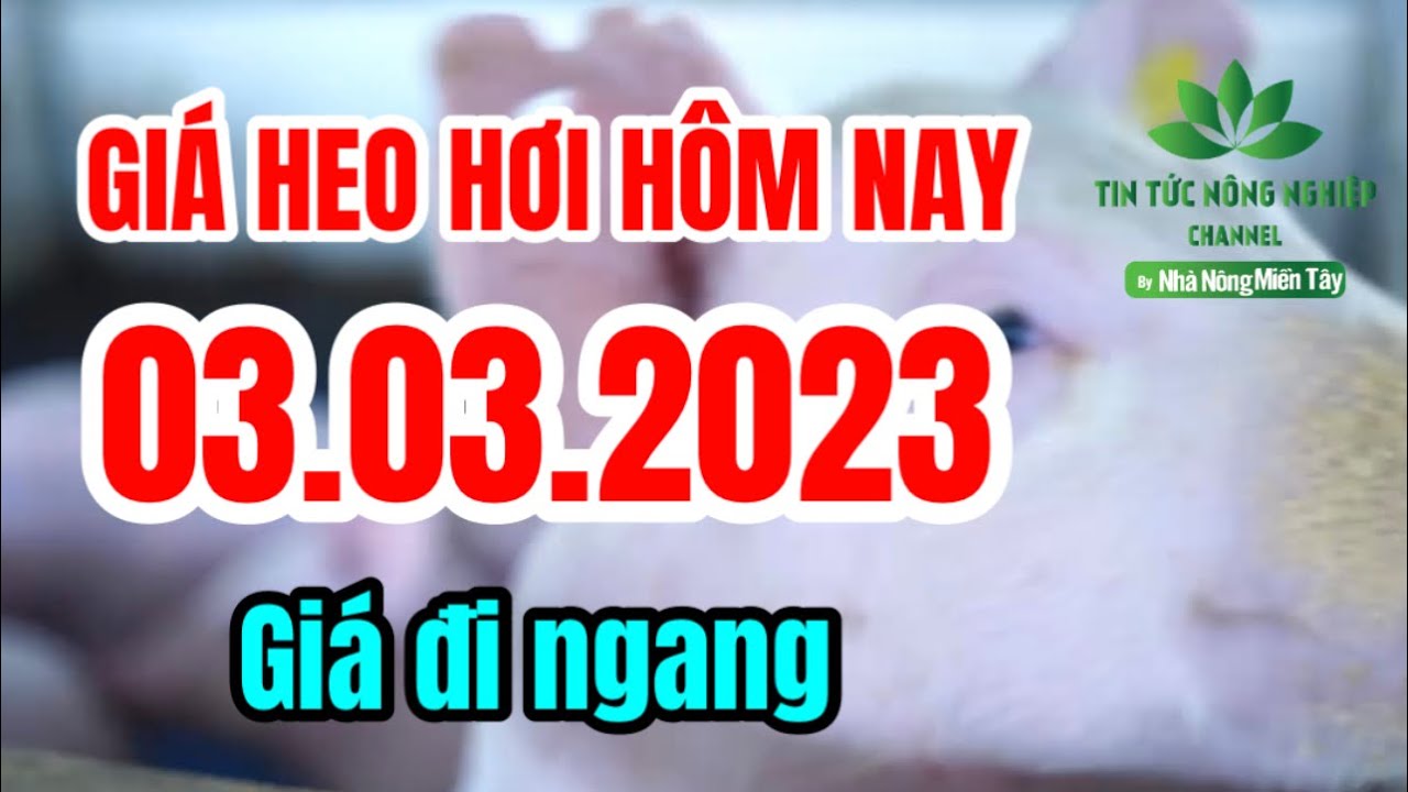 Vietnam live hog prices March 3, 2023