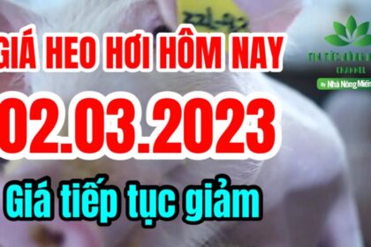 Vietnam live hog prices March 2, 2023