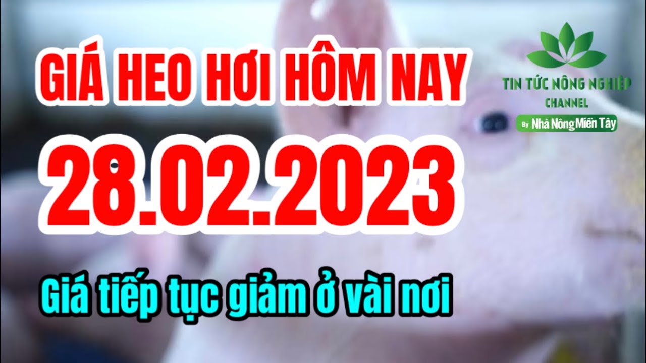 Vietnam live hog prices February 28, 2023
