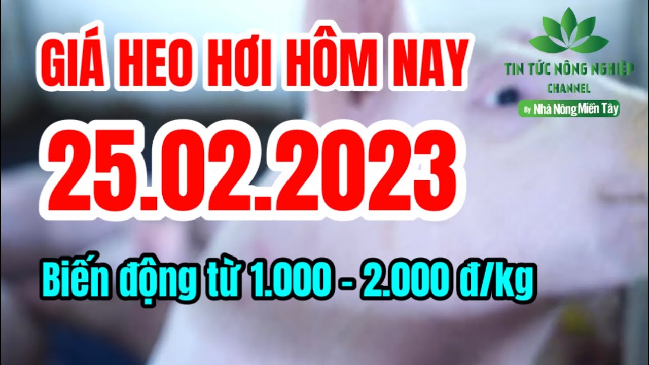 Vietnam live hog prices February 25, 2023