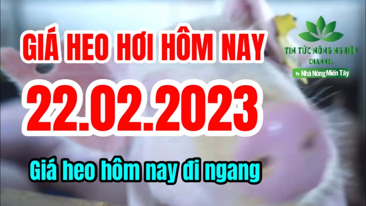 Vietnam live hog prices February 22, 2023