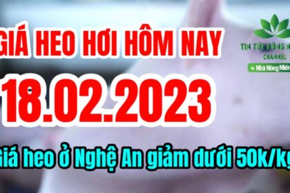 Vietnam live hog prices February 18, 2023