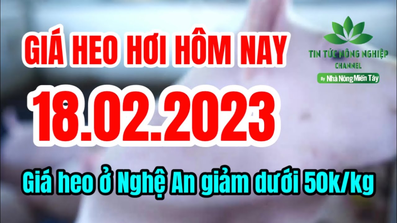 Vietnam live hog prices February 18, 2023